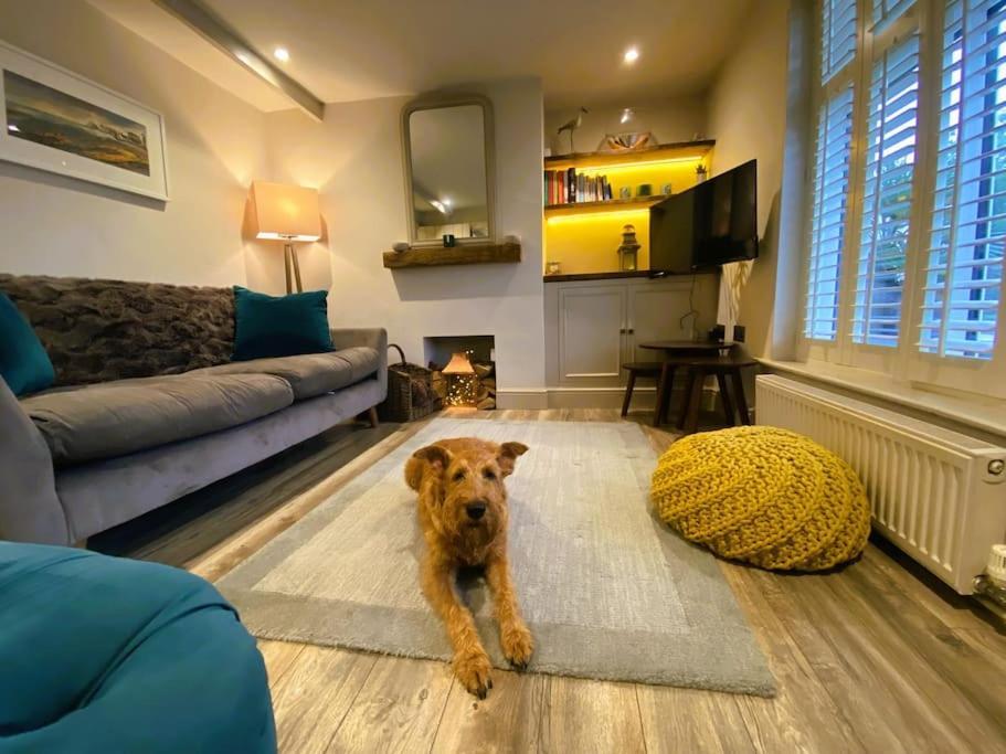 Beautiful Immaculate Aldeburgh Cottage, Sunny Outdoor Space, Free Parking - Easy Walk To Beach & Town Ngoại thất bức ảnh